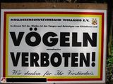 Voegeln Verboten