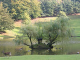 Wildpark Schwarze Berge Harburg