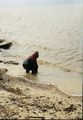 2001 - IJsselmeer