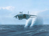 F-14_Tomcat