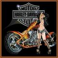 Harley