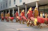 Fringoparade