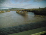 Moselhochwasser 2011