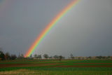 Regenbogen