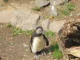 Zoo Leipzig