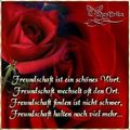 freundschaft