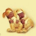 Anne Geddes